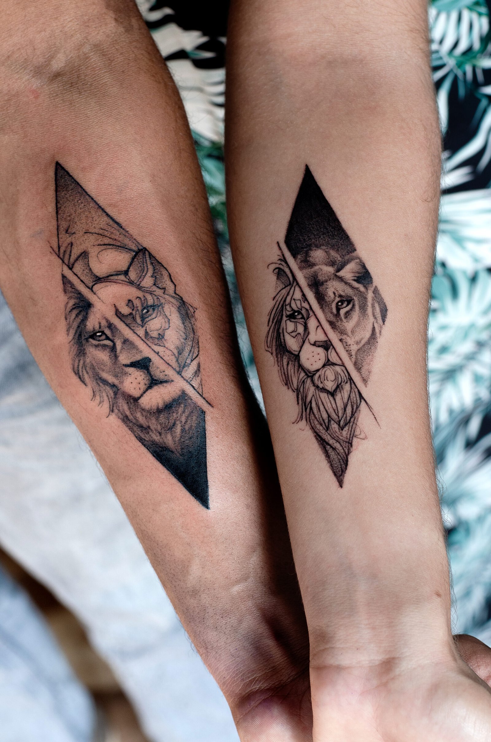 Tatouage lion entre coupé en commun sur deux bras différents
